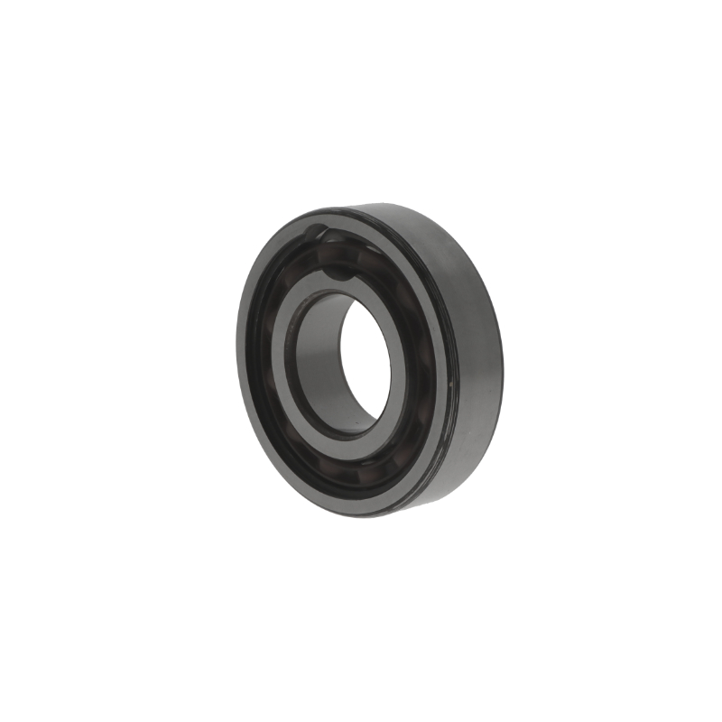 SKF - Cuscinetto radiale rigido a sfere
