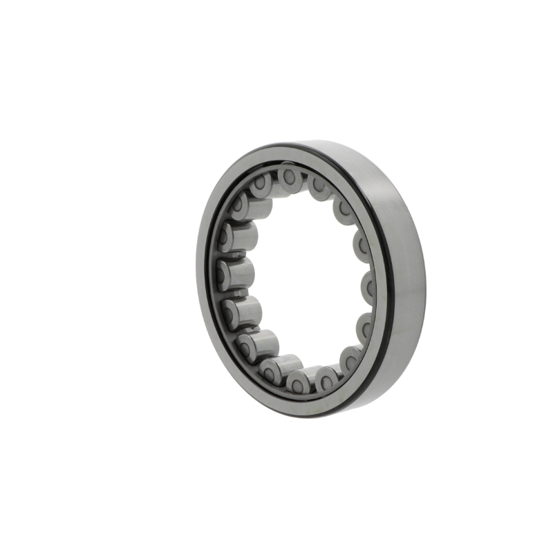SKF - Cuscinetto a rulli cilindrici